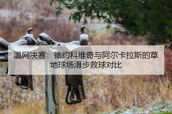 温网决赛：德约科维奇与阿尔卡拉斯的草地球场滑步救球对比