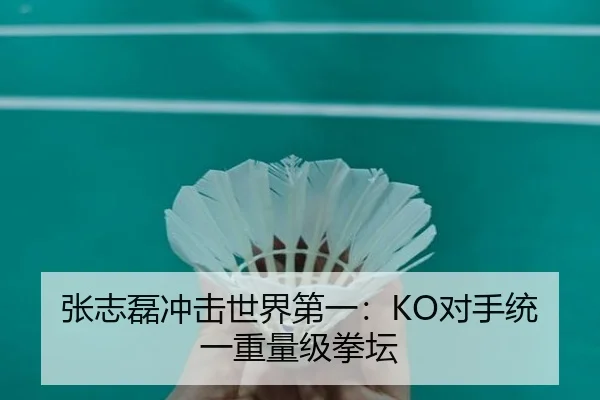 张志磊冲击世界第一：KO对手统一重量级拳坛